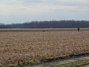 DSC05120a