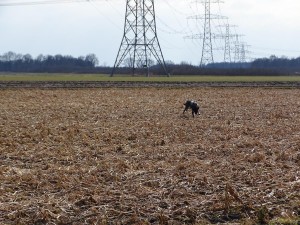DSC05121a