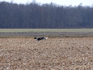 DSC05124a