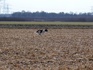 DSC05126a