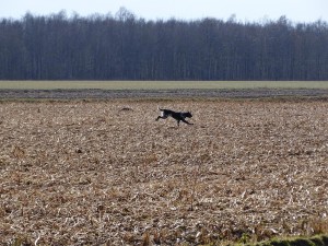 DSC05129a