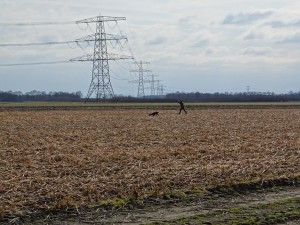 DSC05131a