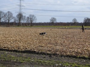 DSC05133a