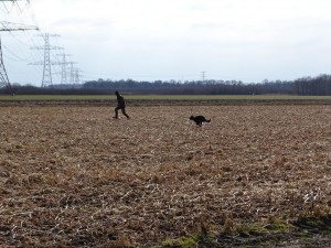 DSC05136a
