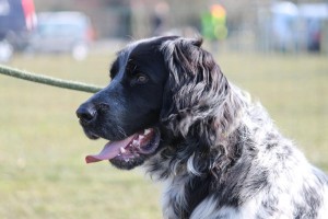 IMG_8500
