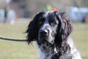 IMG_8501