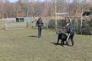 IMG_8503