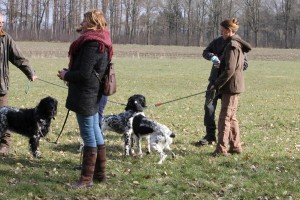 IMG_8545