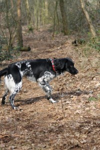 IMG_8555