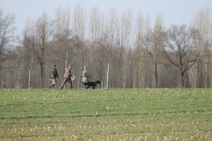 IMG_8562